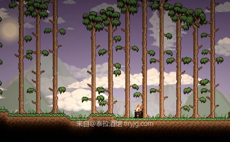 堕苍的泰拉宇宙【T-M.O.D】泰拉档案β：职业、异常世界与智慧种族配图