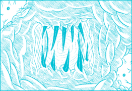 泰拉瑞亚灾厄模组百科嘉登日志地狱配图