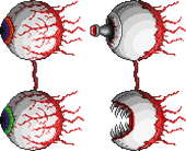 泰拉瑞亚法狗模组百科突变体巫毒娃娃Boss列表配图