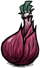 巨型洋葱