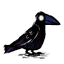 乌鸦