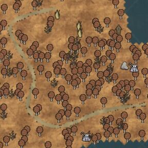 鼹鼠桦树林群系