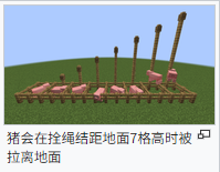 我的世界百科拴绳用途配图 我的世界百科拴绳用途配图