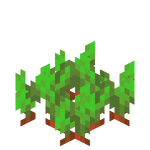 我的世界百科甜菜种子属性配图 我的世界百科甜菜种子属性配图