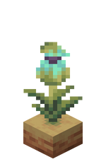 我的世界百科瓶子草荚果属性配图