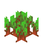 我的世界百科甜菜种子属性配图 我的世界百科甜菜种子属性配图