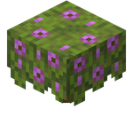 我的世界百科杜鹃花丛属性配图 我的世界百科杜鹃花丛属性配图