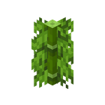 我的世界百科竹子属性配图