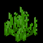 我的世界百科海草属性配图