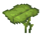 我的世界百科大型垂滴叶属性配图