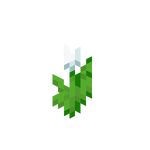 我的世界百科郁金香属性配图 我的世界百科郁金香属性配图