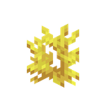 我的世界百科珊瑚属性配图