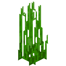 我的世界百科海草属性配图