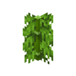 我的世界百科竹子属性配图