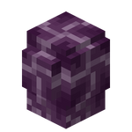 我的世界百科紫颂植株属性配图 我的世界百科紫颂植株属性配图