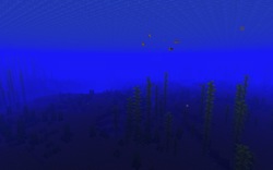 我的世界百科海洋属性配图