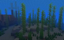 我的世界百科温水海洋属性配图