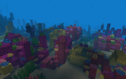 我的世界百科暖水海洋属性配图