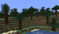 我的世界百科针叶林属性配图