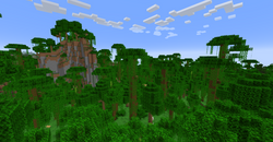 我的世界百科丛林属性配图 我的世界百科丛林属性配图